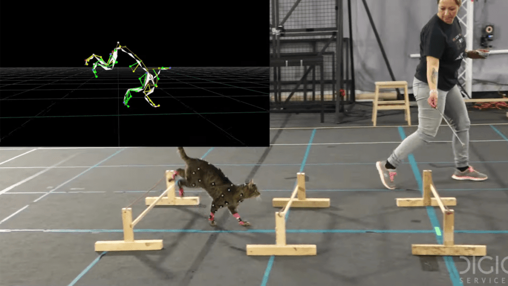This Cat Motion Capture Video Is Purrfection Review Geek Blog Apps