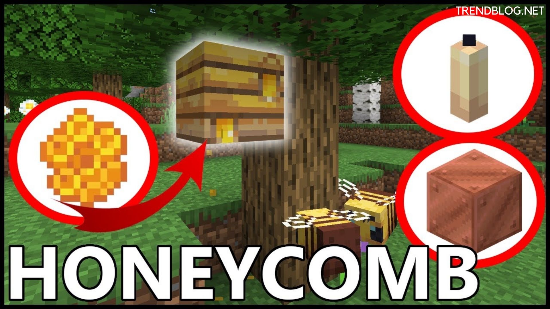 How To Get Honeycomb In Minecraft